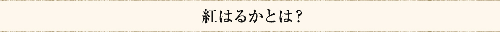 紅はるかとは？