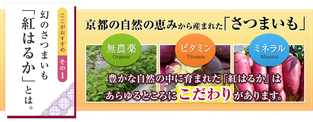 ここがおすすめ　その1　幻のさつまいも　「紅はるか」とは。京都の自然の恵みから産まれた「さつまいも」　無農薬　ビタミン　ミネラル　豊かな自然の中に育まれた「紅はるか」はあらゆるところにこだわりがあります。