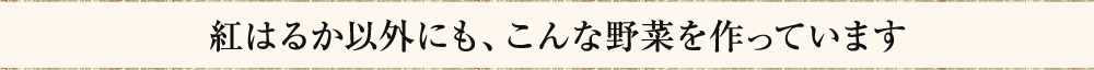 紅はるか以外にも、こんな野菜を作っています